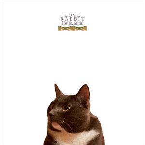 巨大巨茎粗大黑人性猛交A片
